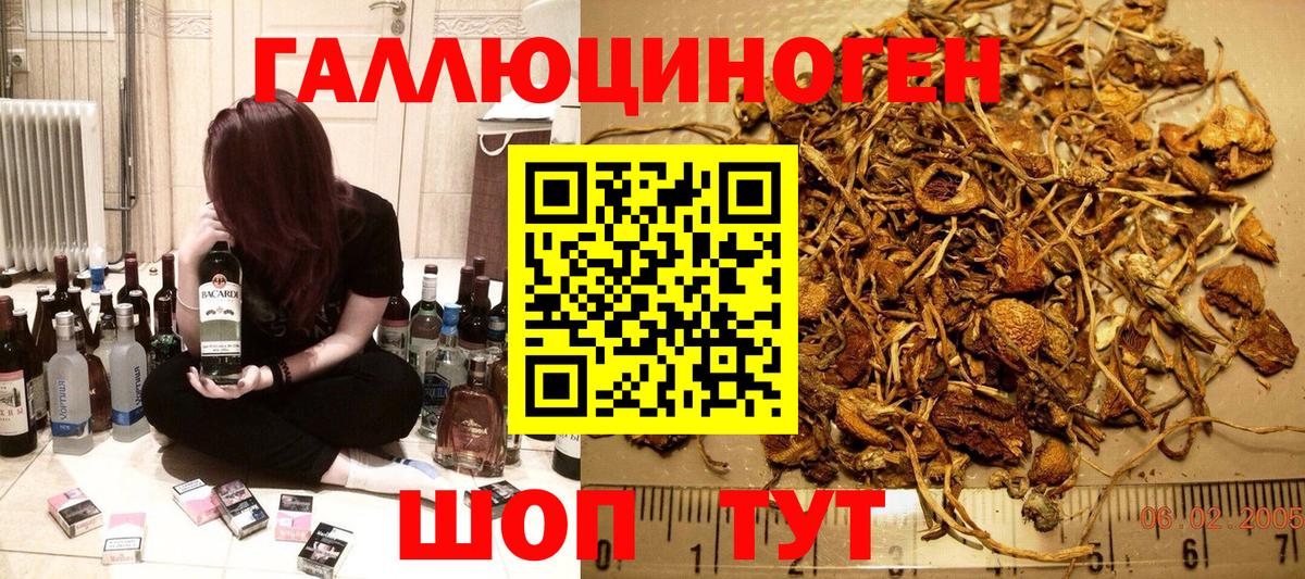 Галлюциногенные грибы мухоморы Шелехов